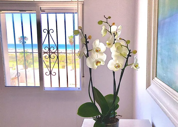 Frente Al Mar 1ª Linea De Playa Conil De La Frontera