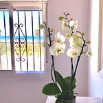 Frente Al Mar 1ª Linea De Playa Conil De La Frontera